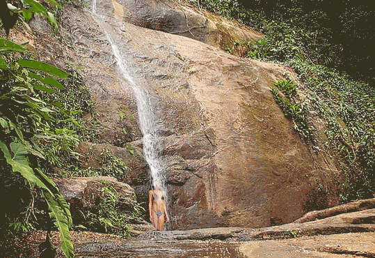 Cachoeira dos Primatas Cachoeira dos Primatas