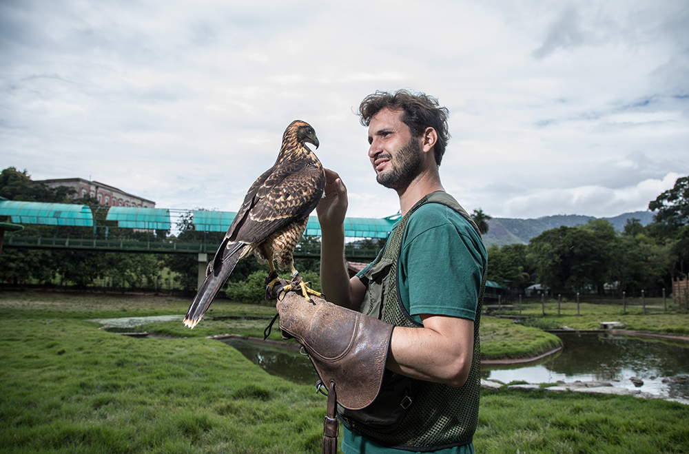 Rio Zoo