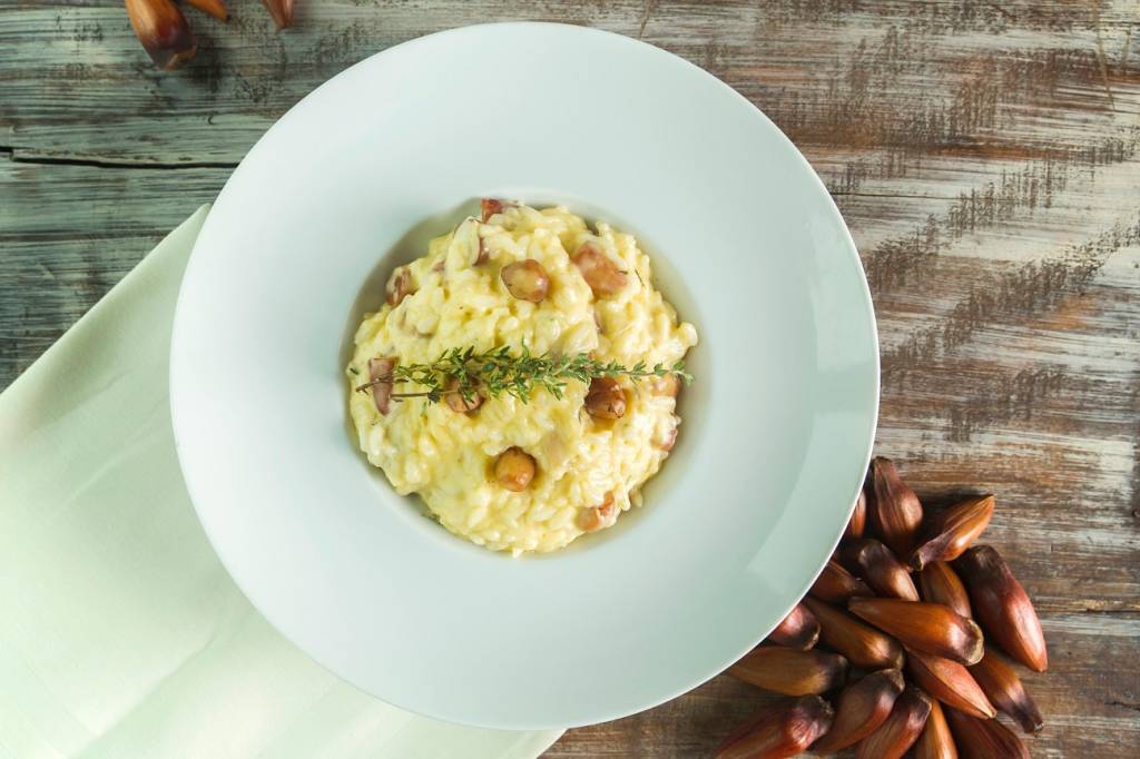 Mensateria_risoto de pinhão