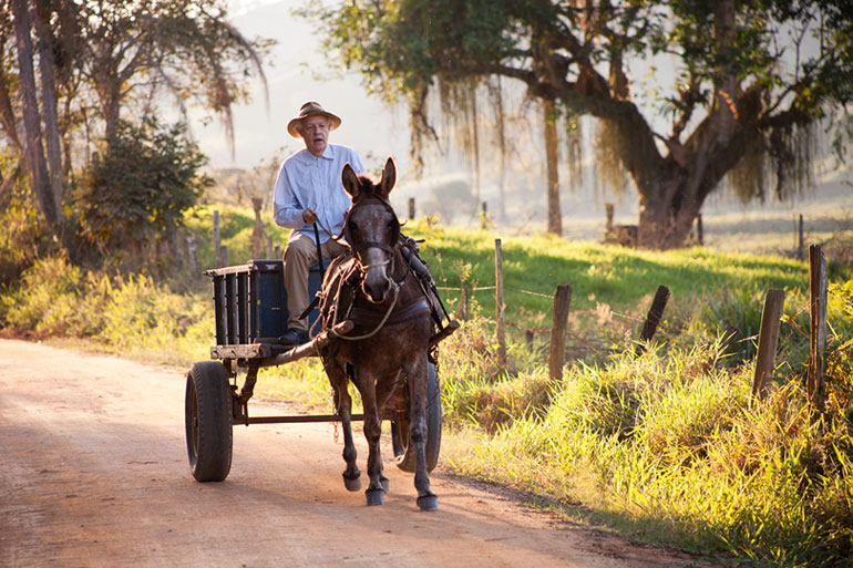 Introdução à Música do Sangue