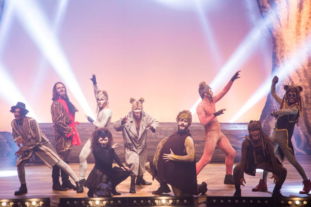 Mogli, O Musical