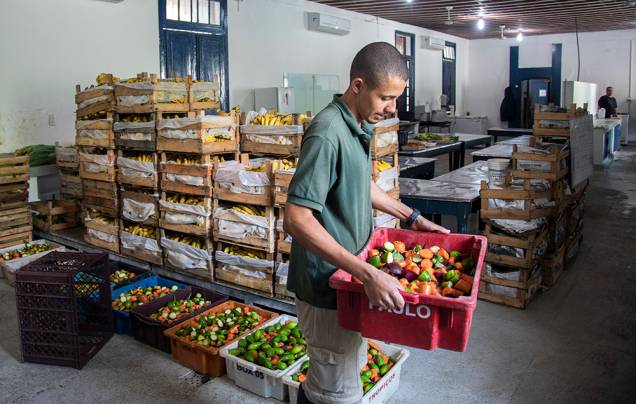 Desde outubro,  a alimentação dos animais agora segue padrões rigorosos