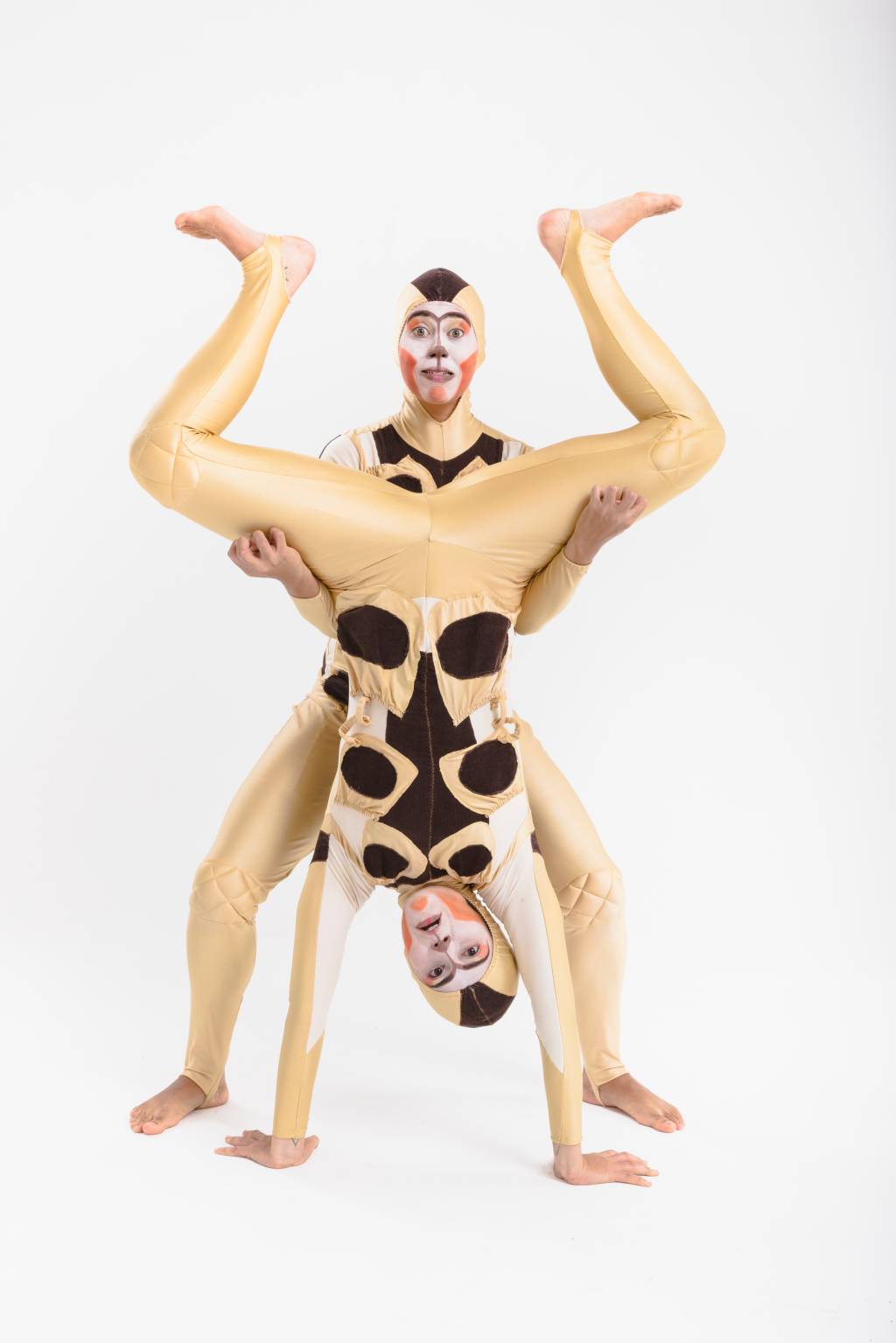 Humanimal