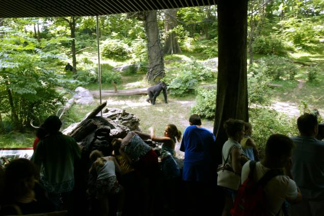 Zoológico do Bronx, em Nova York: referência Zoológico do Bronx, em Nova York: referência