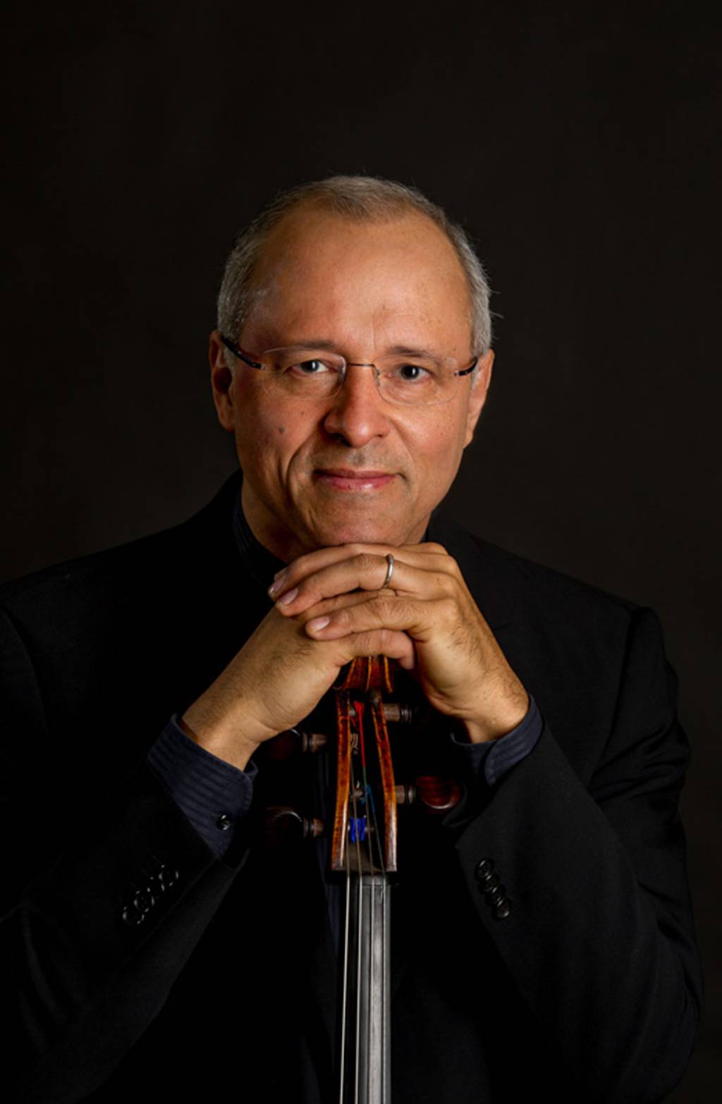 meneses2015c