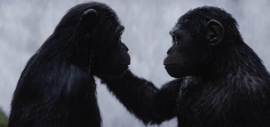 planeta dos macacos
