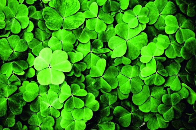 iStock-157617234_preview