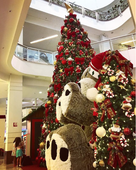 1.@carolb_araujo_RECREIO SHOPPING