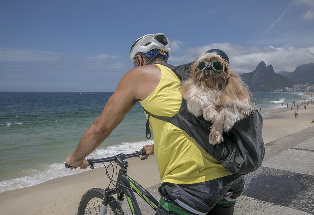 bike dog e Steve