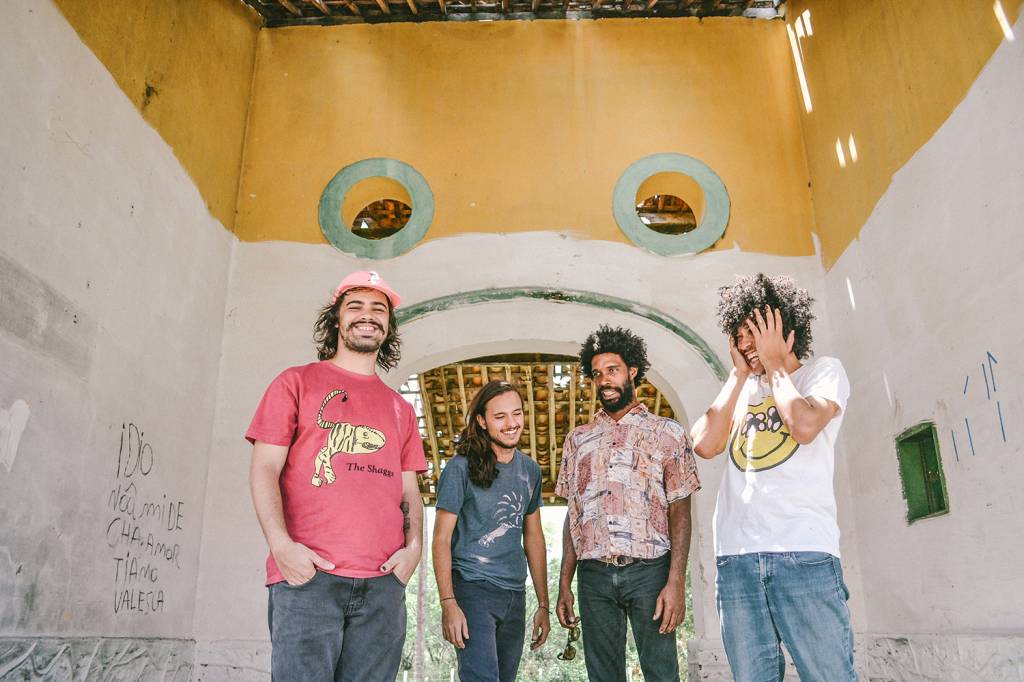 Boogarins