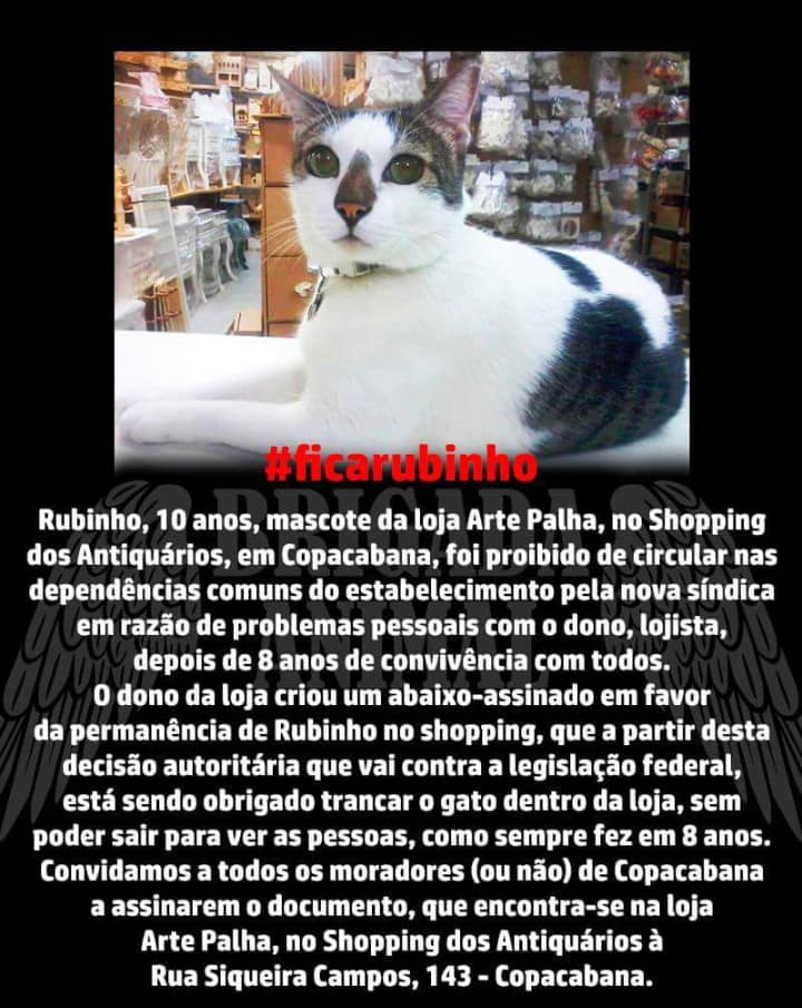 #FicaRubinho #FicaRubinho