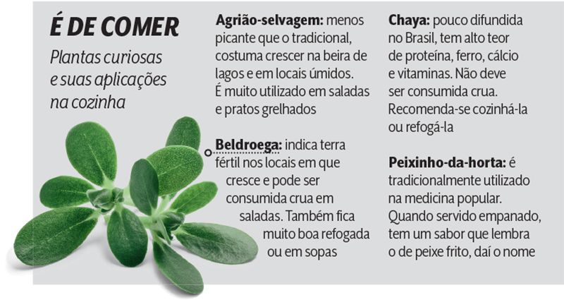 Info pancs Info pancs