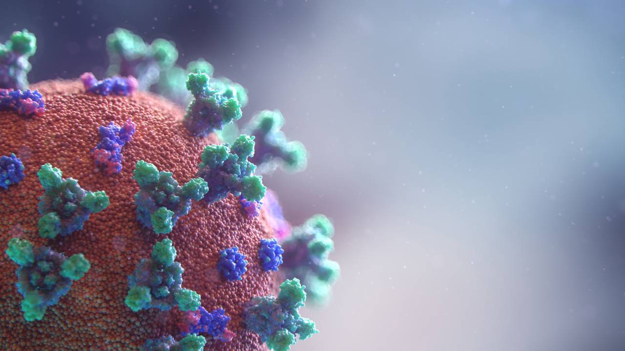 A imagem mostra a representação gráfica do vírus da Covid-19