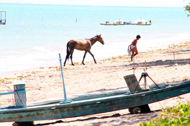 Rota Ecológica de Alagoas: uma cena que para mim transmite a vibração dessa região Rota Ecológica de Alagoas