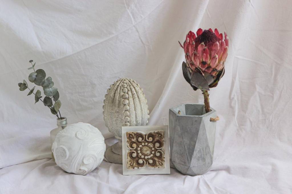 protea-eximia-produção protea-eximia-produção