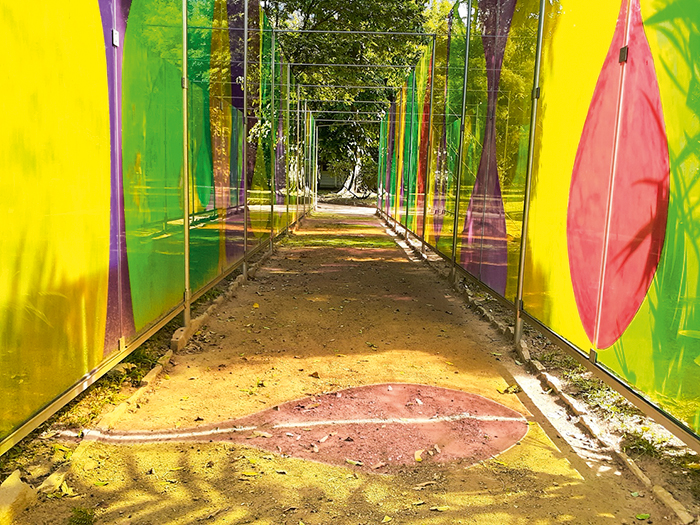 Jardim Botanico Instalação In Vitro _ Foto Clarisse Tarran Jardim Botanico Instalação In Vitro _ Foto Clarisse Tarran