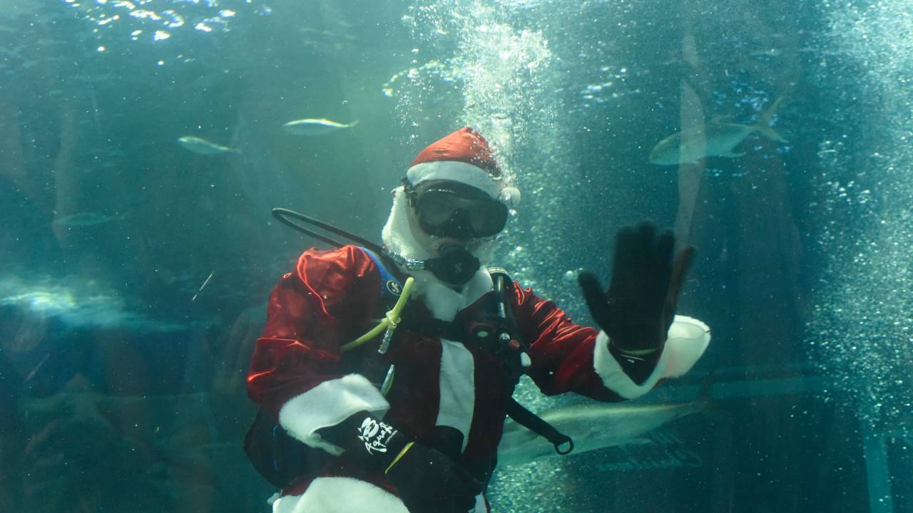 Mergulhador vestido de Papai Noel acena de dentro do Grande Tanque do Aquário Marinho do Rio