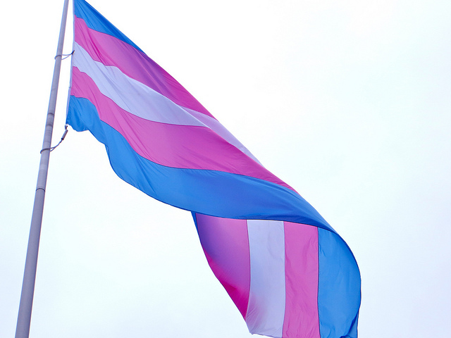 Bandeira flutua com as listras verticais azul, rosa e branca, rosa e azul