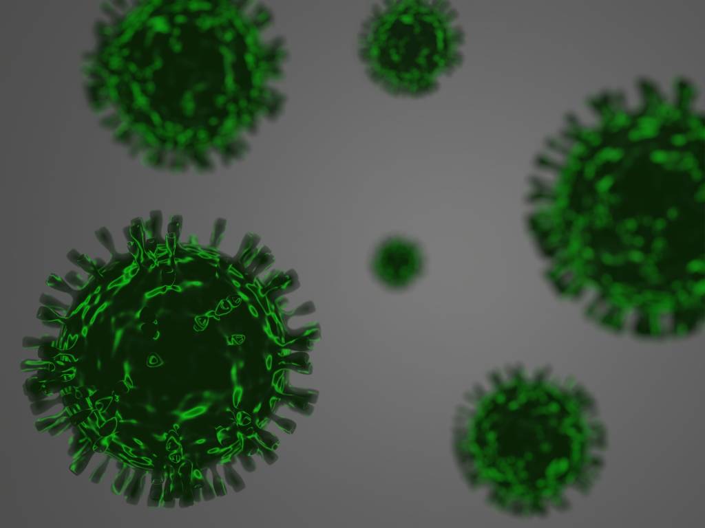A imagem mostra o vírus do coronavírus