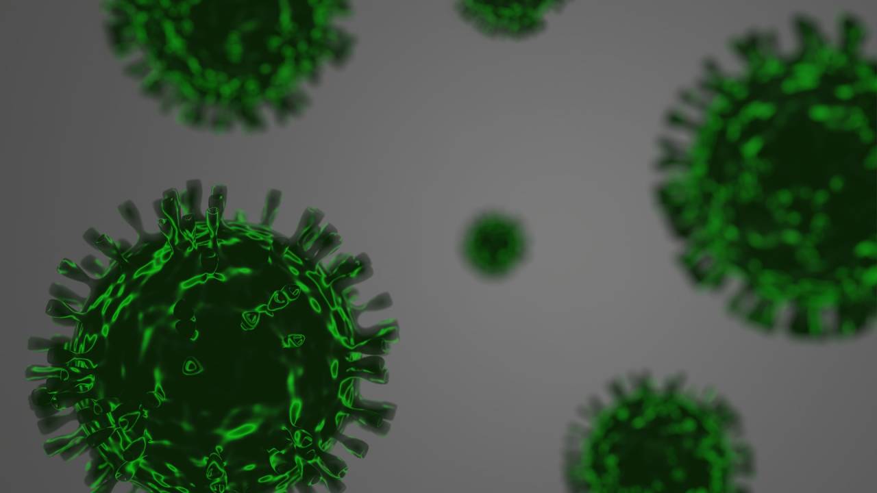 A imagem mostra o vírus do coronavírus