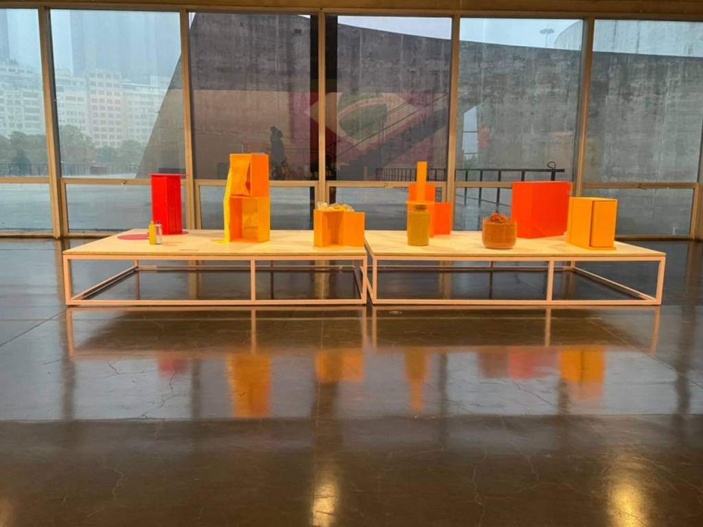 Hélio dani cuki Mostra de Hélio Oiticica no MAM