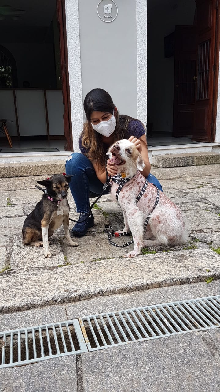 Mulher usa máscara e está agachada acariciando dois cachorros