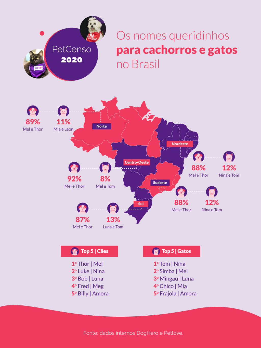 Gráfico mostra os nomes de cães e gatos mais populares no país, além das raças mais queridas do brasileiros