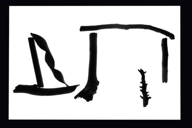 Paço Imperial abre mostra com fotografias de Vicente de Mello