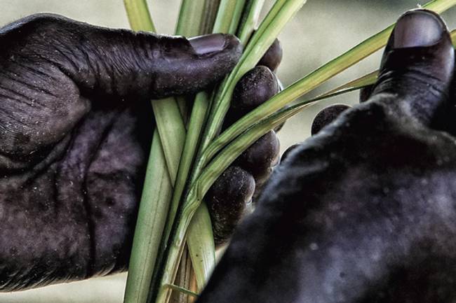 Casa França-Brasil recebe o público com expoentes da arte contemporânea