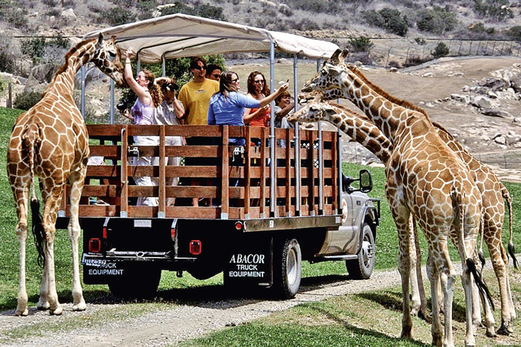 San-Diego-Zoo-California.jpg O famoso zoológico de San Diego, na Califórnia: um dos pioneiros no conceito de exibição dos bichos ao ar livre e inspiração para o BioParque do Rio -