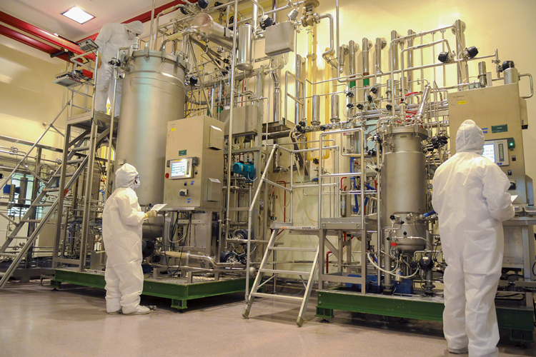 A área de produção: com a transferência da tecnologia, o IFA será fabricado dentro do complexo de vacinas -