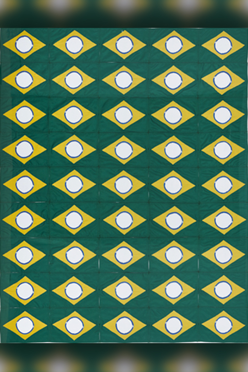 The New Brazilian Flag #8, de Raul Mourão (2020)