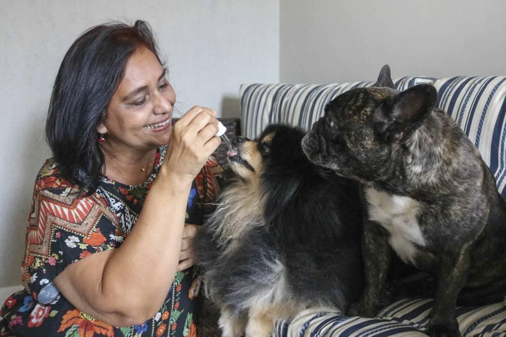 Fátima com a prole canina: florais para ajudar com alergias e problemas renais -