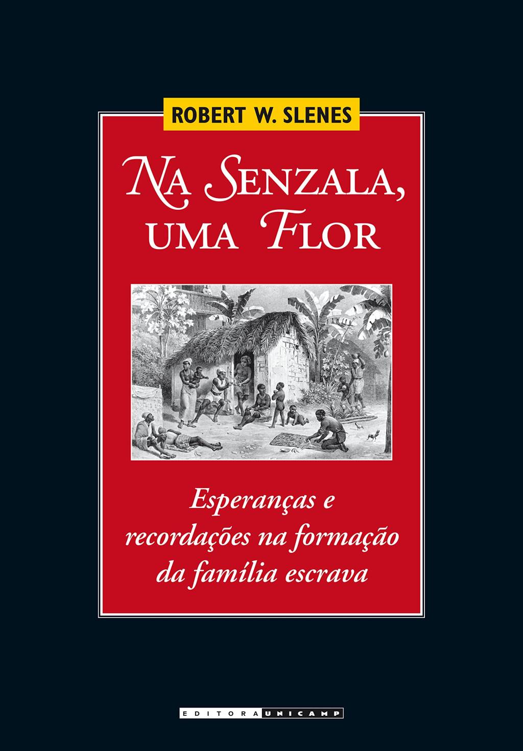 Na senzala, uma flor