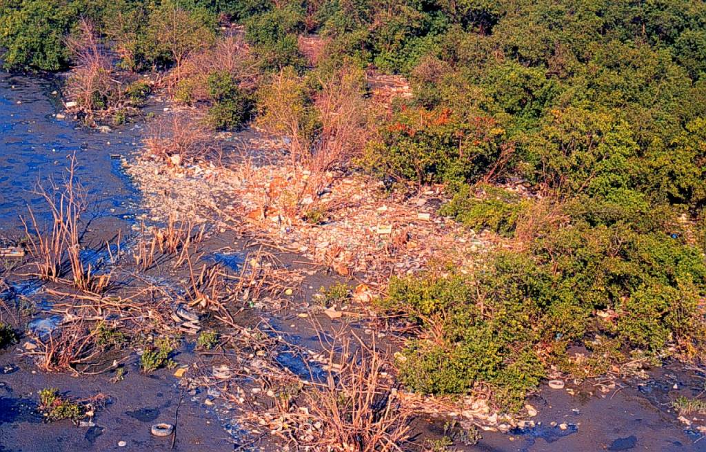 Manguezal Gramacho Foto mostra manguezal deteriorado em Gramacho