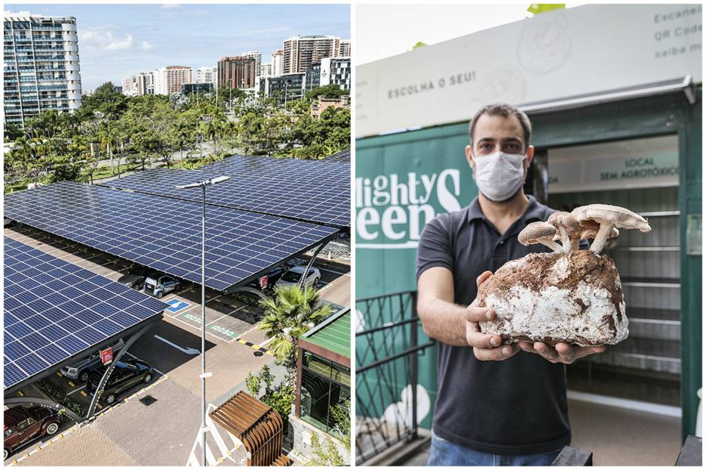 Aproveitamento de energia solar, produção no próprio ponto de venda, entregas com transporte não poluente e logística de lixo zero são algumas das frentes abertas pelo supermercado Zona Sul. No dia 1º de junho, a marca inaugura a sua Central de Resíduos Recicláveis