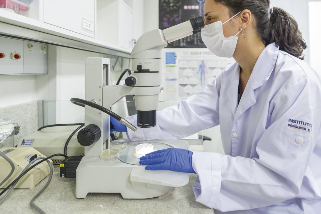 _ADH8806.jpg Laboratório do Idor, em Botafogo: pesquisa com extratos canábicos em andamento -