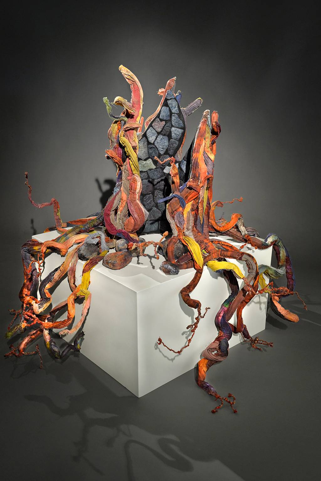Escultura multicolorida, que lembra tentáculos, sobre um cubo branco