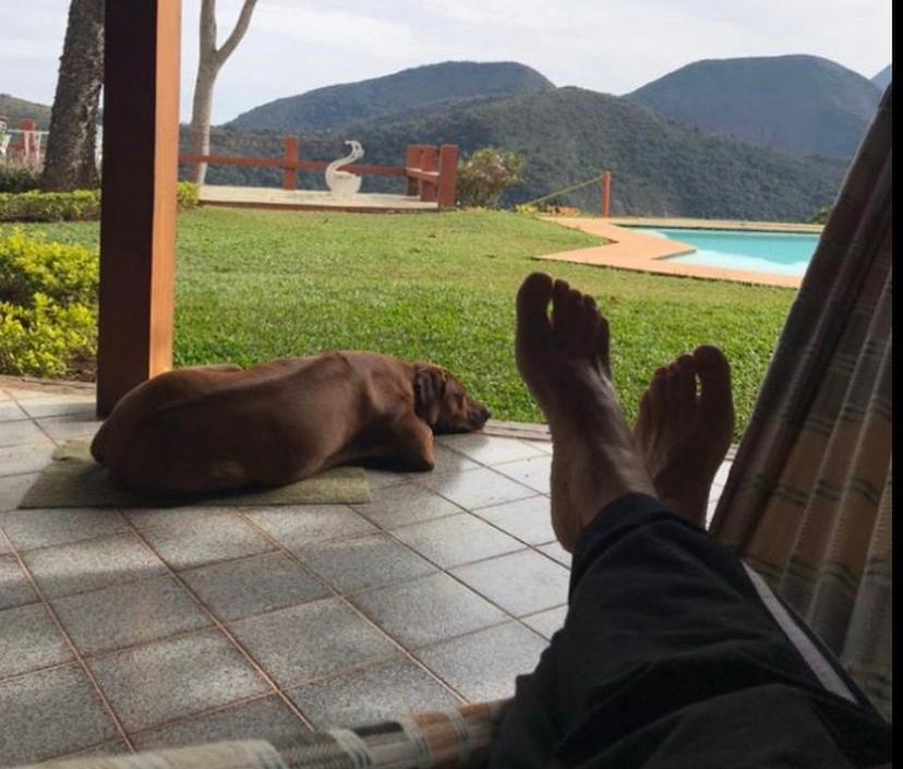 A imagem tem como foco as pernas cruzadas de jose mayer, com um cão ao lado, denotando tranquilidade