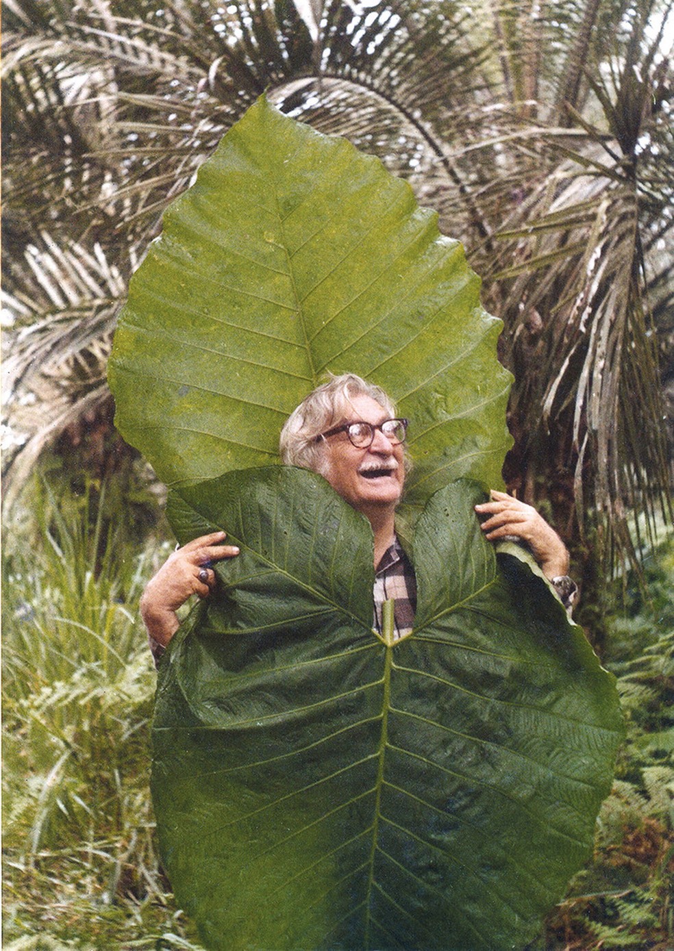 Paisagista Roberto Burle Marx entre plantas