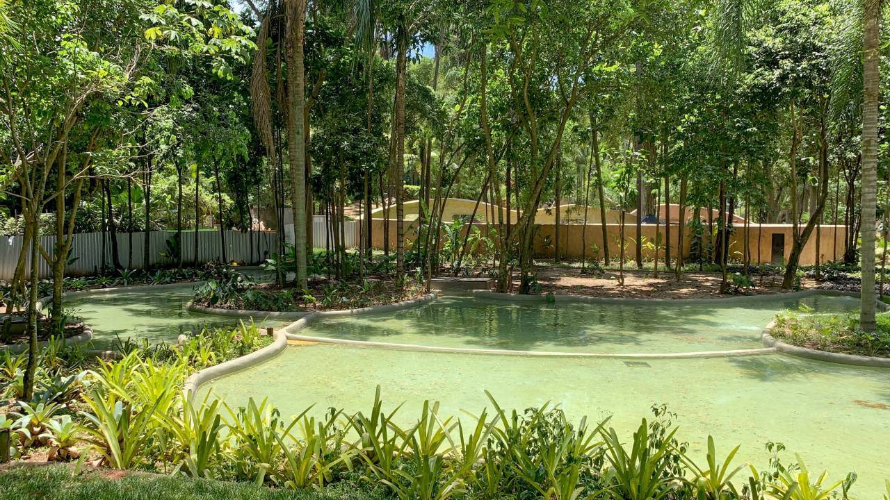 Jardim do BioParque do Rio com curvas sinuosas, no estilo de Burle Marx