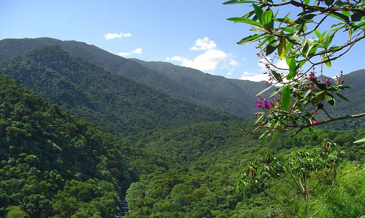 Imagem mostra vista das montanhas do Parque Nacional do Itatiaia