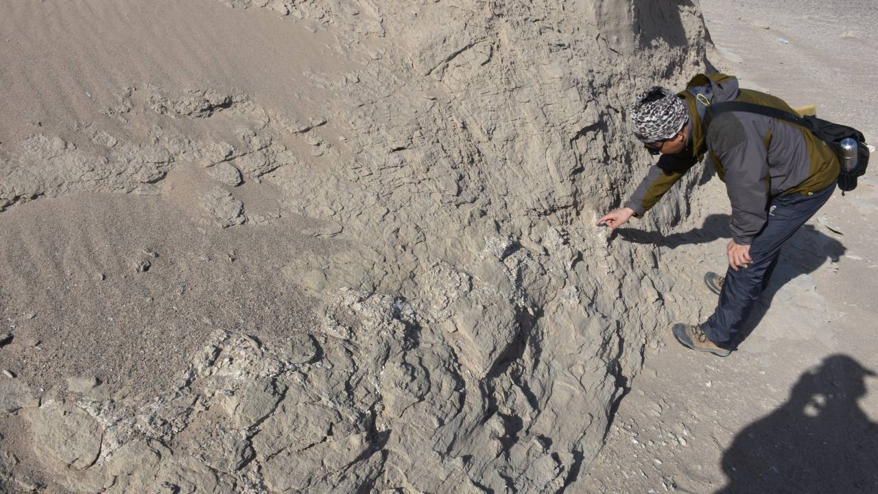 Paleontólogo em frente a rochas
