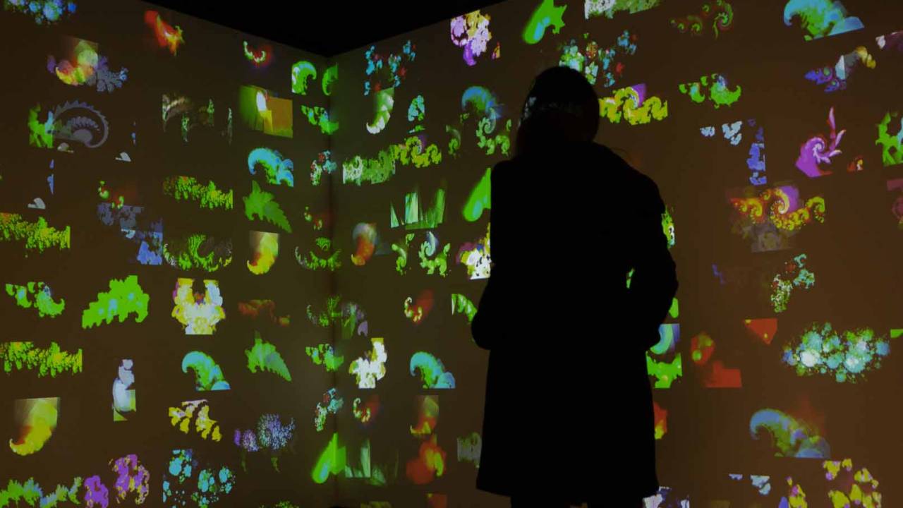Duas telas com imagens da instalação Floras e a sombra preta de uma pessoa que observa as animações
