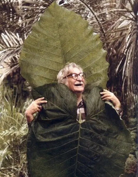 Roberto-Burle-Marx