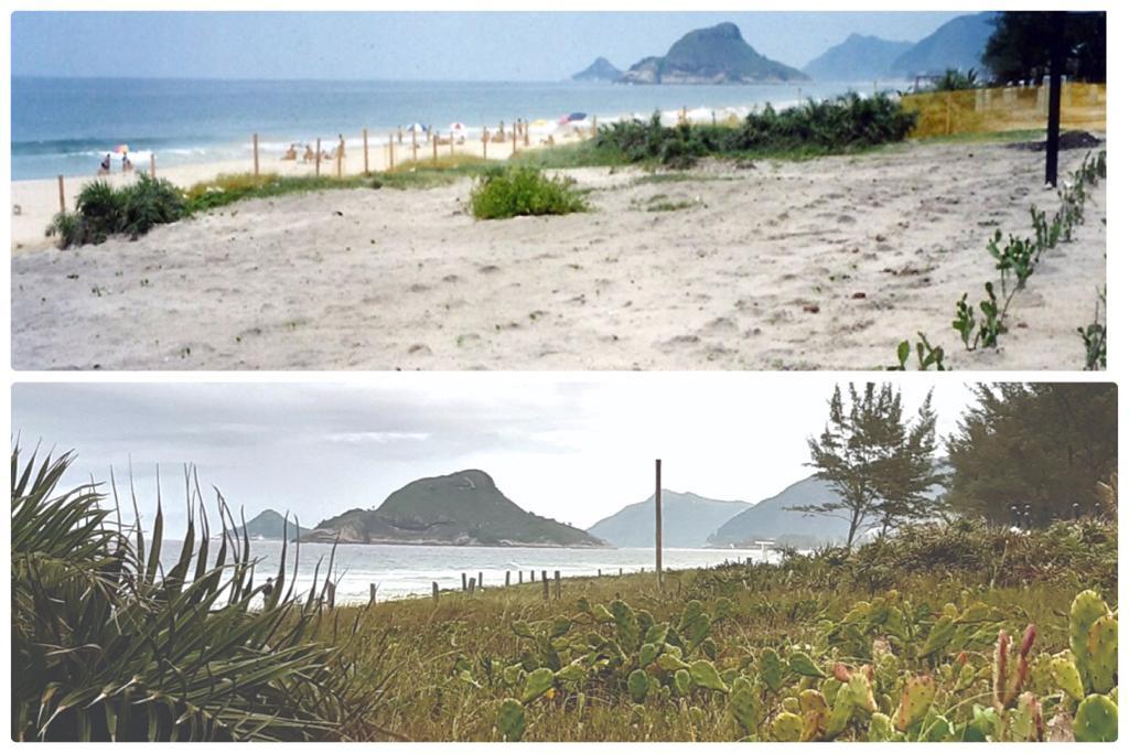 A Praia da Reserva em 2002 (alto) e depois do reflorestamento, em 2019 (embaixo) - Fotomontagem