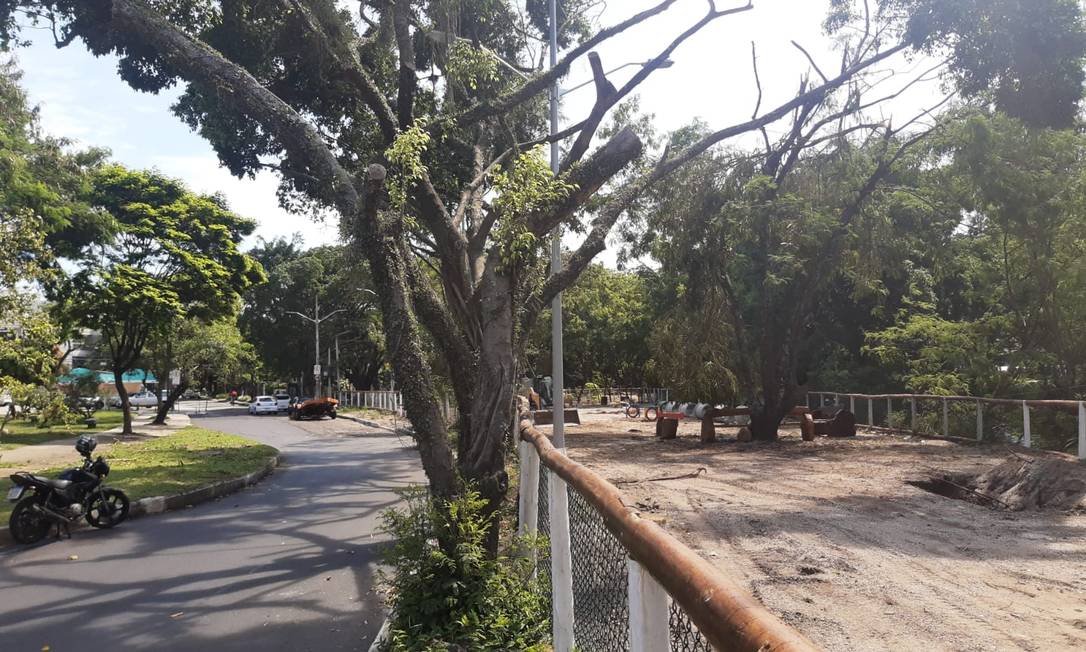 Parcão da Barra: área tem obstáculos em madeira plástica para cachorros e é cercado por uma estrutura feita de eucalipto e tela galvanizada.