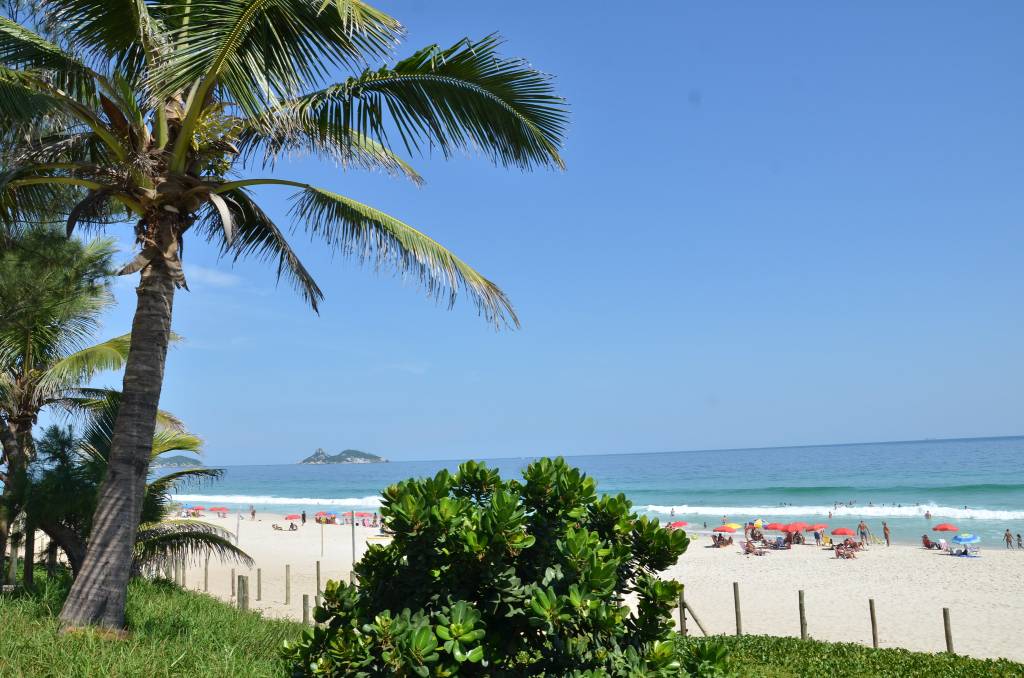 Foto mostra a vista da praia da Barra com um coqueiro e um arbusto em primeiro plano