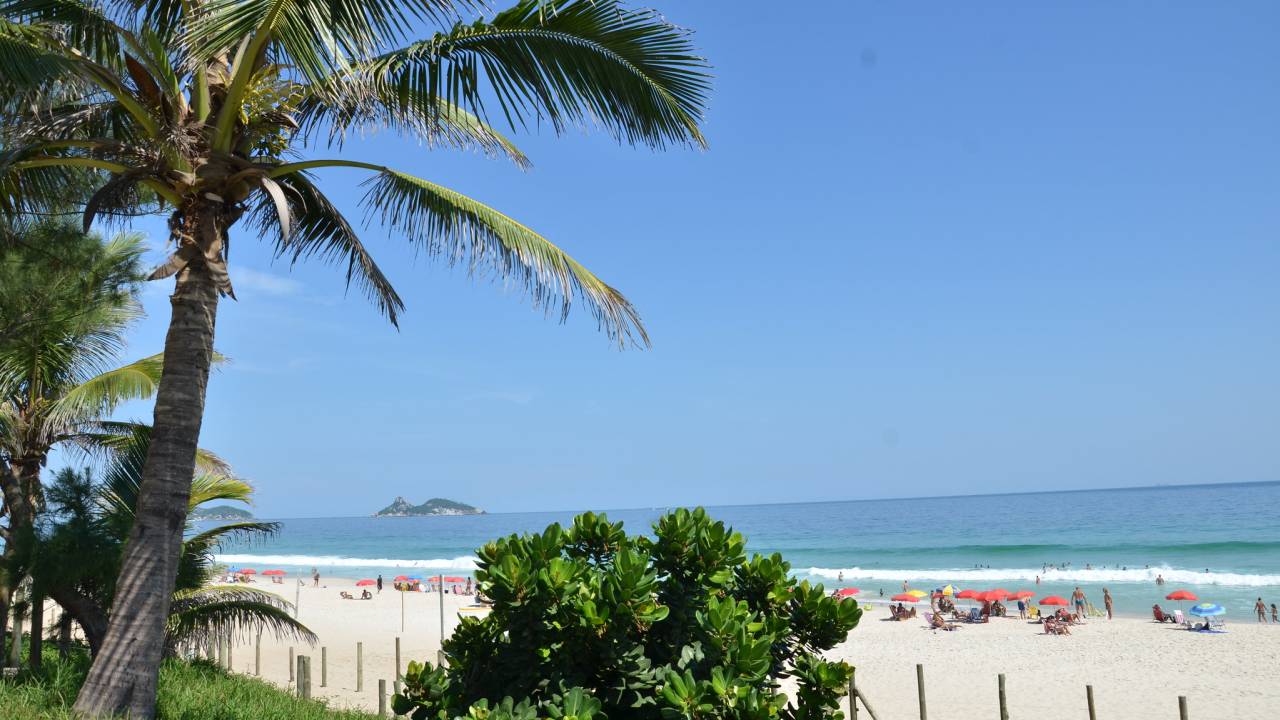 Foto mostra a vista da praia da Barra com um coqueiro e um arbusto em primeiro plano