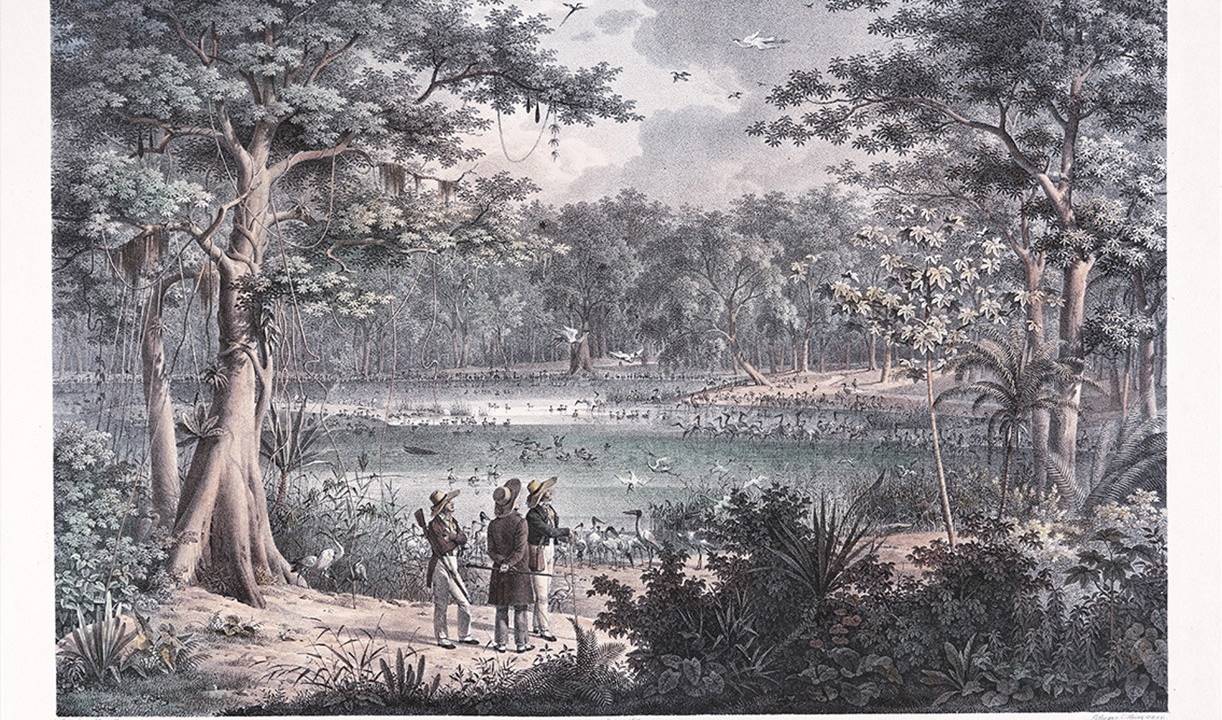 Foto mostra ilustração de aventureiros em uma paisagem com um lago e árvores no entorno